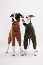 Ladda upp bild till gallerivisning, One whippet and a silken windsprite wearing wool jumpsuits in different colors. One is green with a short neck reaching about half up the neck, and the other is brown with a long neck scrunched down but reaching up to the base of the ears.