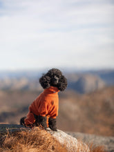 Ladda upp bild till gallerivisning, Burnt Orange - Storlek 2 (bred)