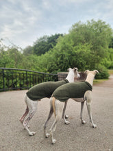 Ladda upp bild till gallerivisning, Two whippets facing away diagonally from the camera. They are wearing a whippet vest made of wool. The neck and back is a dark green, and the part under the chest is light beige.