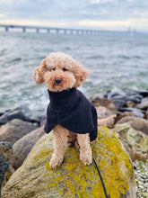 Ladda upp bild till gallerivisning, An apricot poodle wearing a black wool coat, sitting in front of the ocean and a bridge.