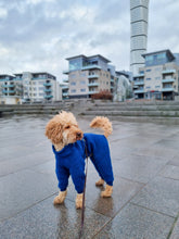 Ladda upp bild till gallerivisning, Blueberry Blue - storlek 5