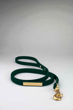 Ladda upp bild till gallerivisning, Dark green leash in biothane with brass gold rivets, tag and snap hook