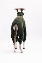 Ladda upp bild till gallerivisning, A whippet standing with its back towards the camera. He's in photo studio, wearing a green wool jumpsuit which follows the curve of his back, and leaves a not too small, and not too large, hole for the tail. The legs of the jumpsuit reaches just above the hooks. 
