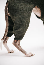 Ladda upp bild till gallerivisning, Whippet-jumpsuit i 100 % ull
