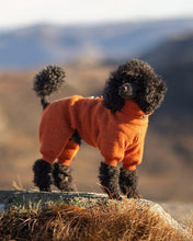 Ladda upp bild till gallerivisning, Burnt Orange - Storlek 2 (bred)
