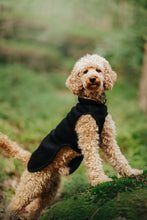 Ladda upp bild till gallerivisning, Dog wearing a black, tight coat standing on a grassy area
