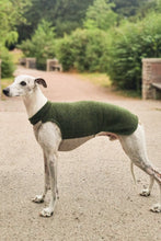 Ladda upp bild till gallerivisning, A whippet standing with his side facing the camera. He is wearing a whippet vest made of wool. The neck and back is a dark green, and the part under the chest is light beige.
